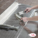Fish preparation table with opening for the waste - Image 2